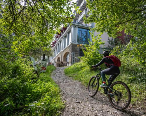 20240915-110409-NIKON-Z-8